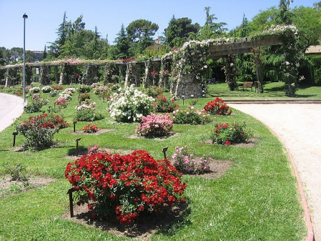 حديقة زهور سرفانتس برشلونة