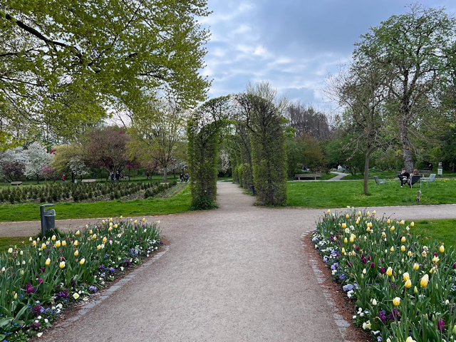 حديقة الورود ميونخ