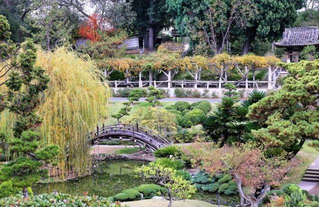 حديقة هنتنغتون اليابانية لوس انجلوس