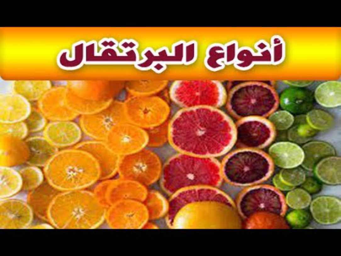 أنواع البرتقال المختلفة