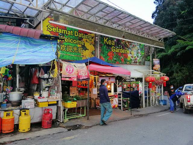 سوق باسار باجي كيا فارم في كاميرون هايلاند