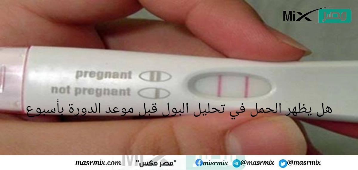 هل يظهر الحمل في تحليل البول قبل موعد الدورة بأسبوع